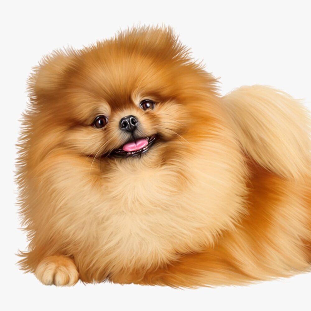 Meet your Posher, Minna